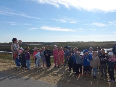 Родные просторы